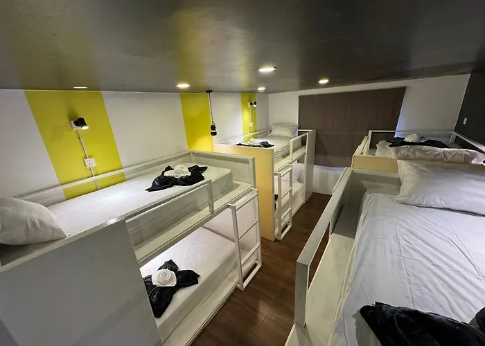 The Hive Hotel