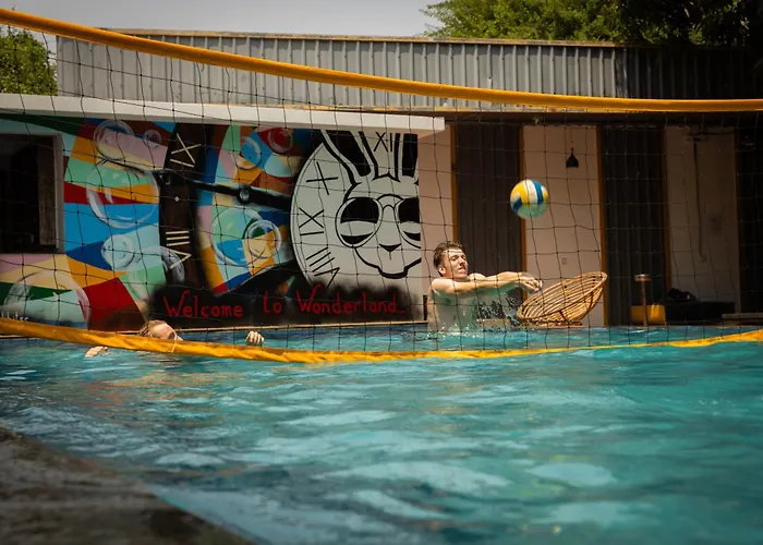 White Rabbit Hostel