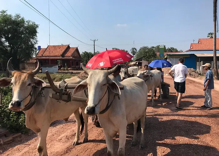 Authentic Khmer Homestay Experience Package By Siem Reap Homesteading