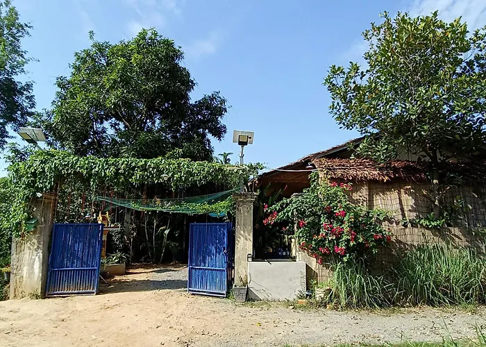 Madam Sokha Homesteading