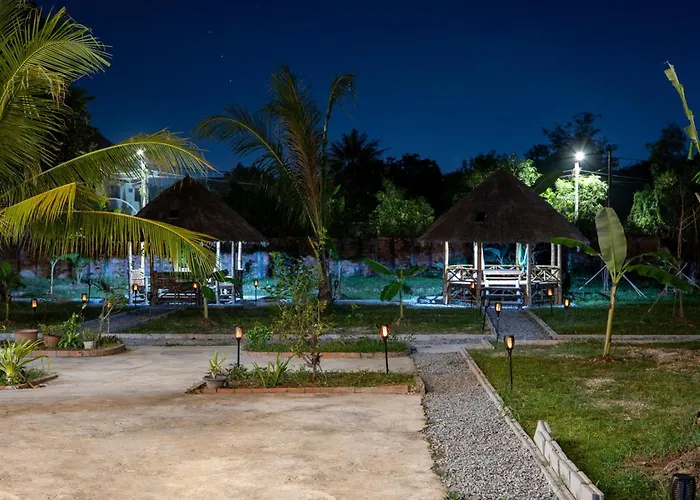Teko Paradise And Kitchen